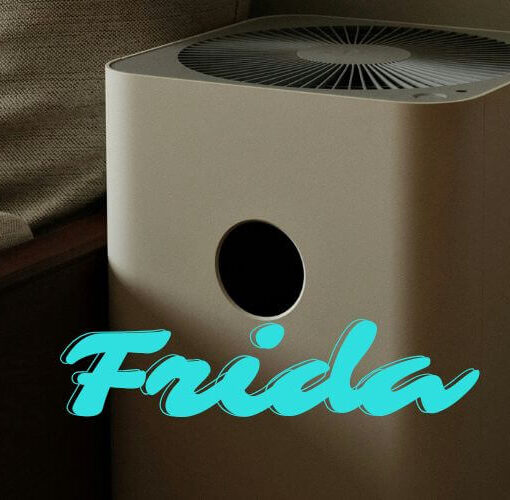 Frida Luftreiniger Empfehlungen Vergleich
