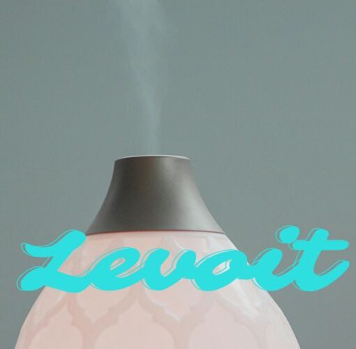 Levoit Luftbefeuchter Empfehlungen